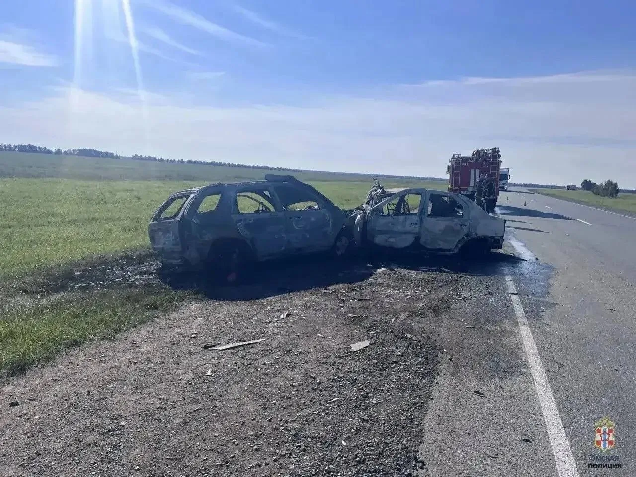 В Омском районе произошло смертельное ДТП