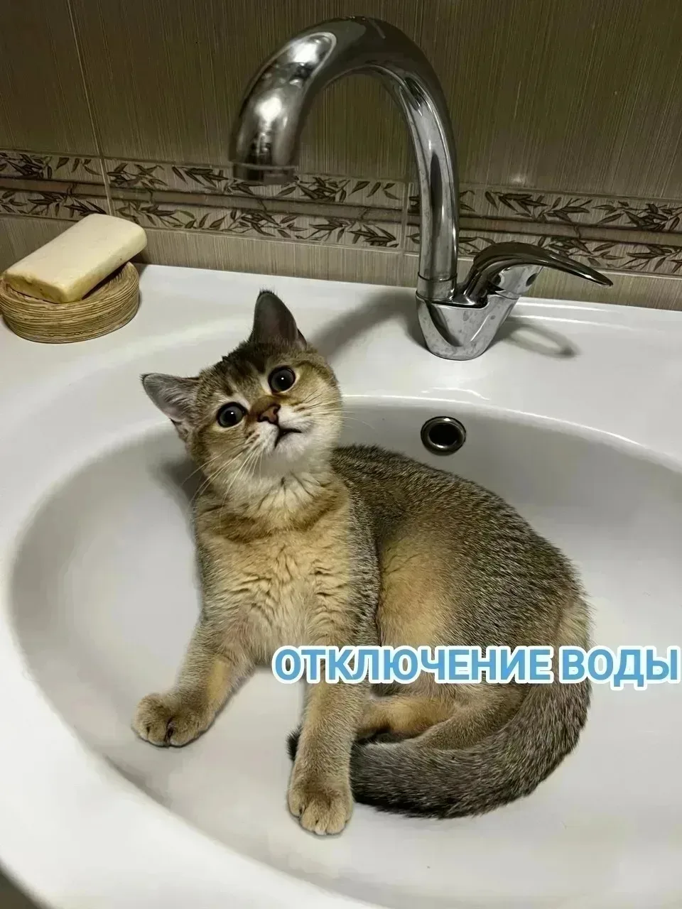 💧 Думиничане, запасаемся водой!