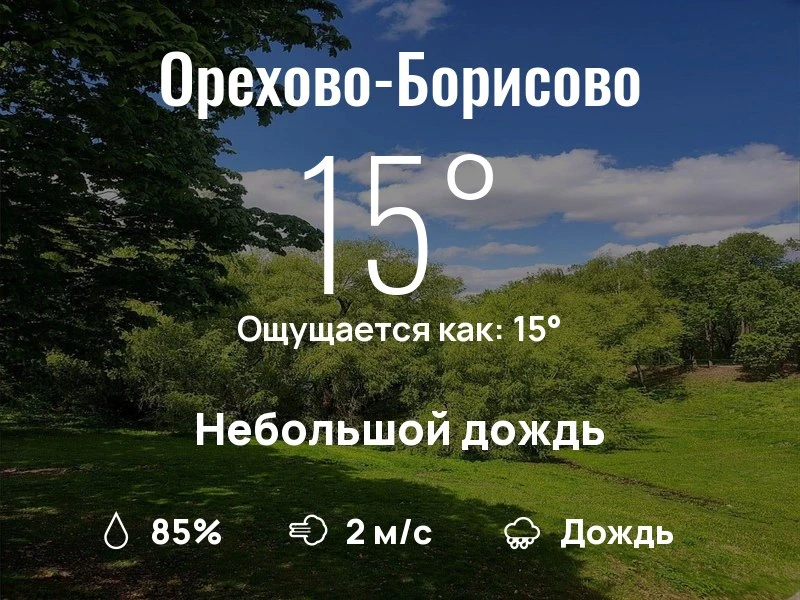 Что с погодой в Орехово-Борисово?