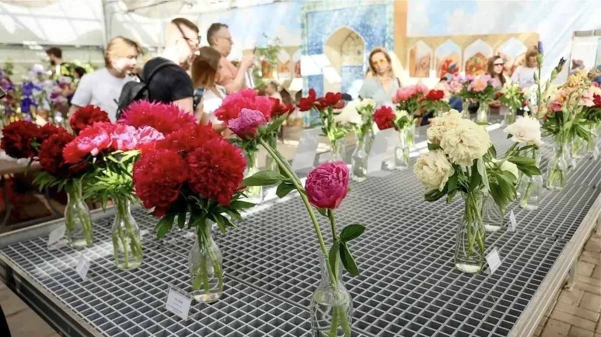 🌸 В Аптекарском огороде в Москве стартовал фестиваль пионов и ирисов

На выставке представлены буке