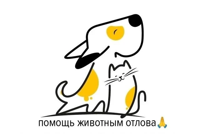 Уважаемые подписчики, просим вашей помощи препаратами для собак и кошек центра.

В данный момент на 