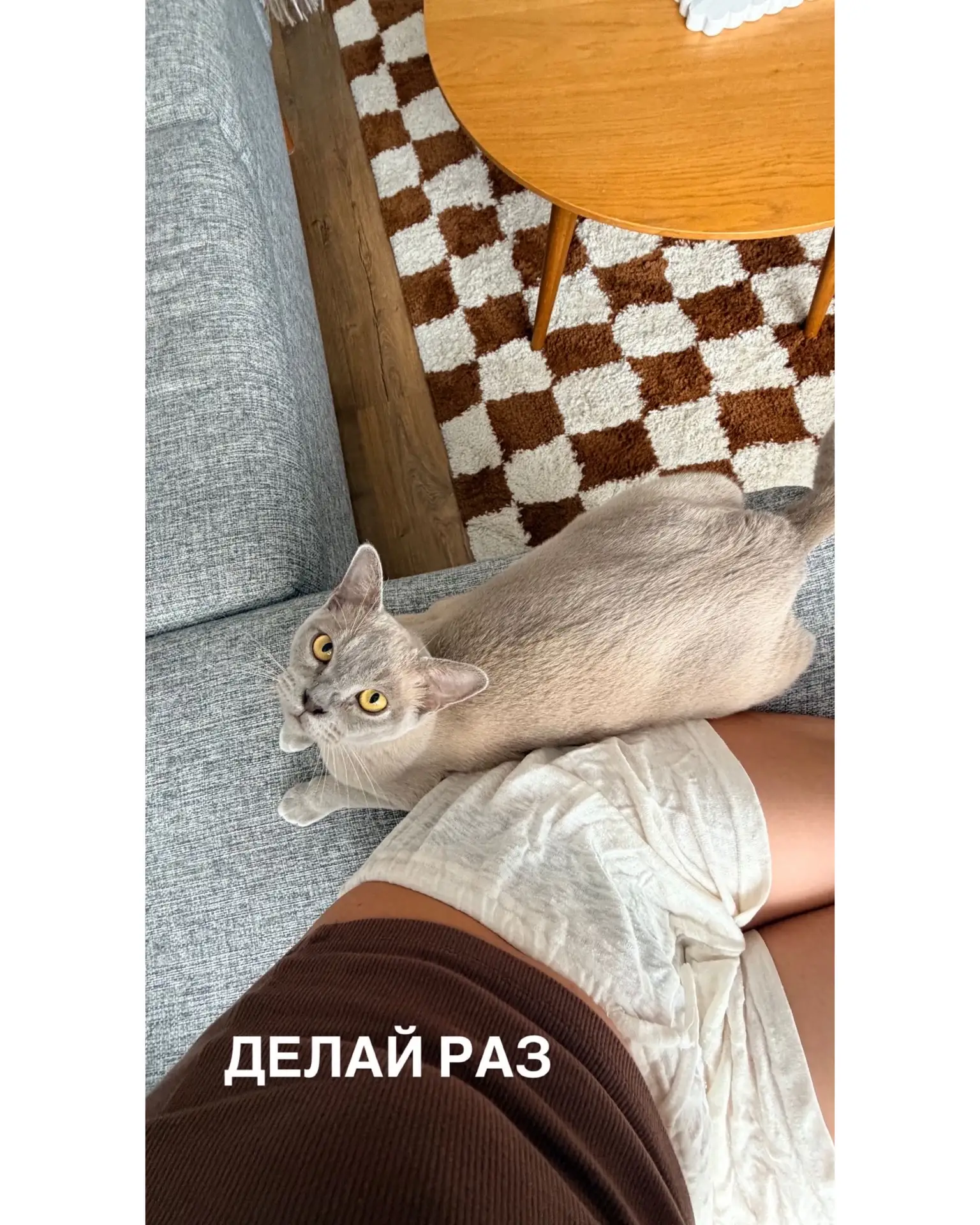 Раз два три)))