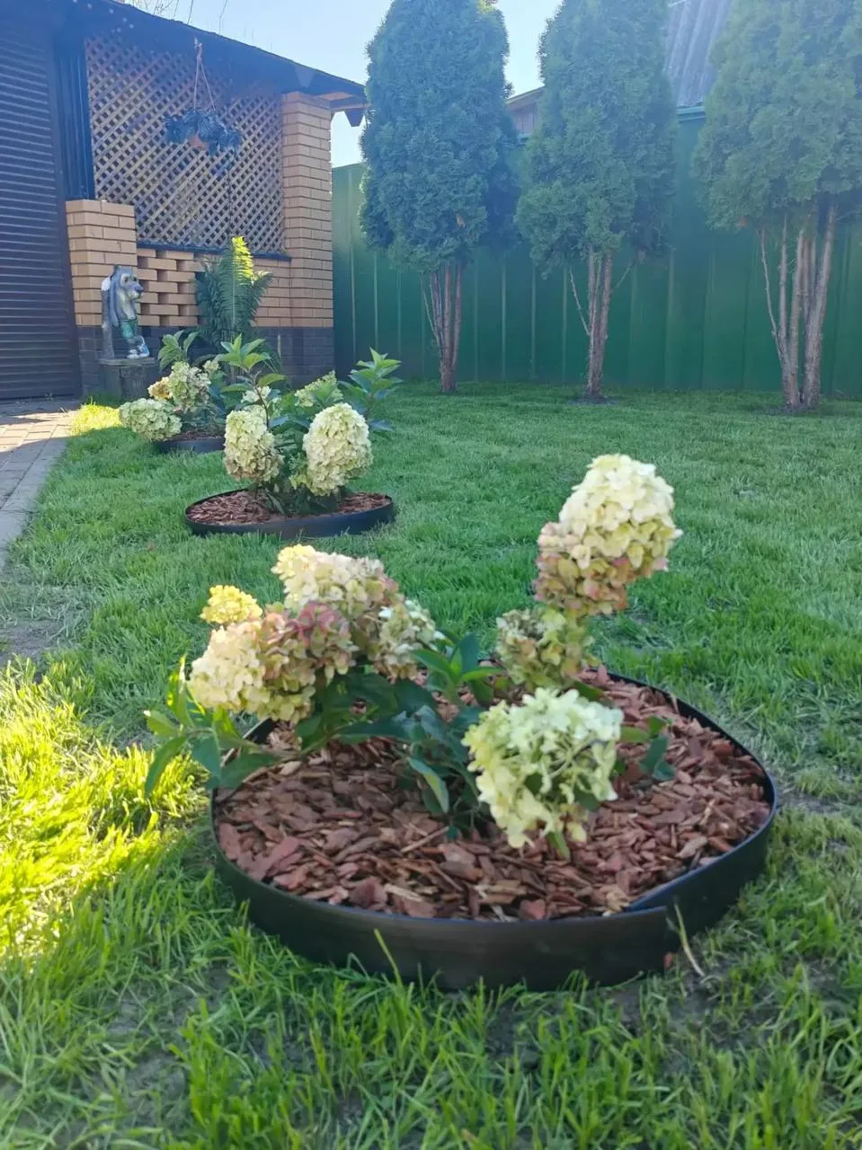 😍 ФОТО-ОТЗЫВ ШИКАРНЫХ РОЗ И МЕТЕЛЬЧАТЫХ ГОРТЕНЗИЙ! 🌹🌸💗✨