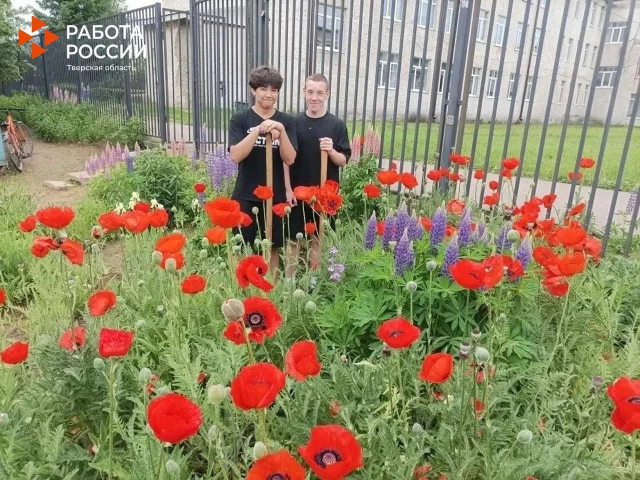 В зубцовской школе №1 этим летом работает молодежная трудовая бригада.👍

Подростки наводят порядок 