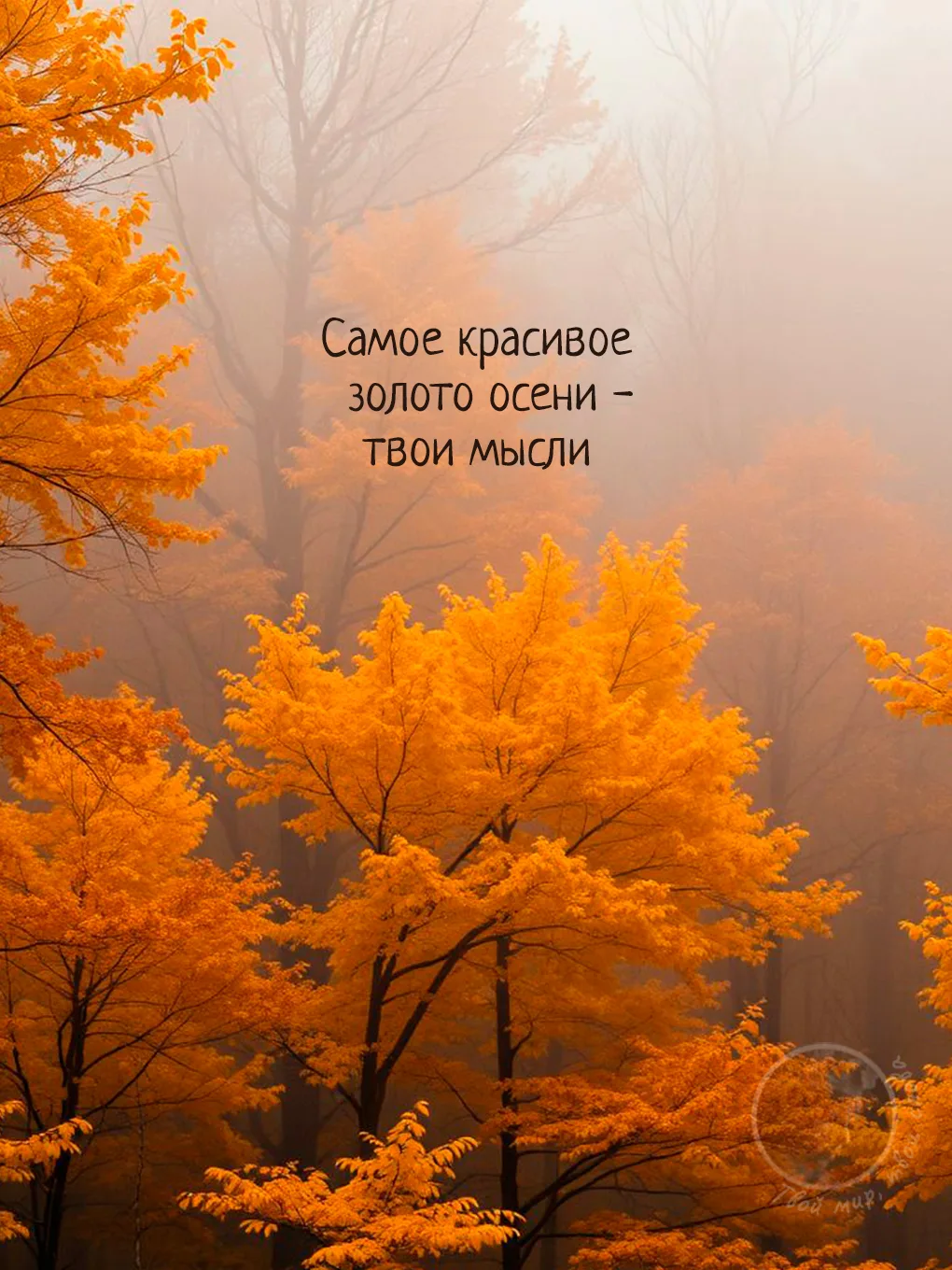 Осень — это тихое возвращение к себе. Природа замедляет шаг лишь для того, чтобы мы нак...
