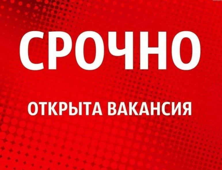 ‼️Внимание‼️