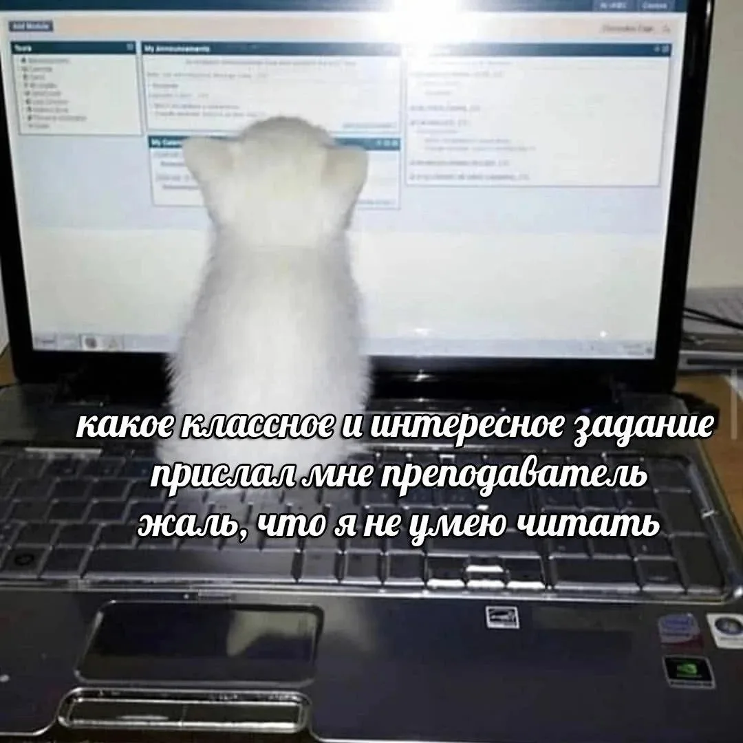 Пока мы тут отдыхаем, где-то уже сидят будущие первокурсники и переписывают конспекты из интернета, 