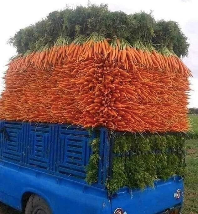 🍃ПАПИЛЛОМЫ, ПОЛИПЫ, АДЕНОИДЫ🍃