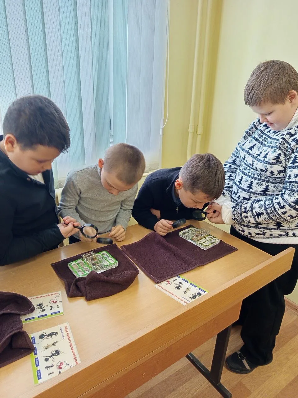 Орлята нашей школи