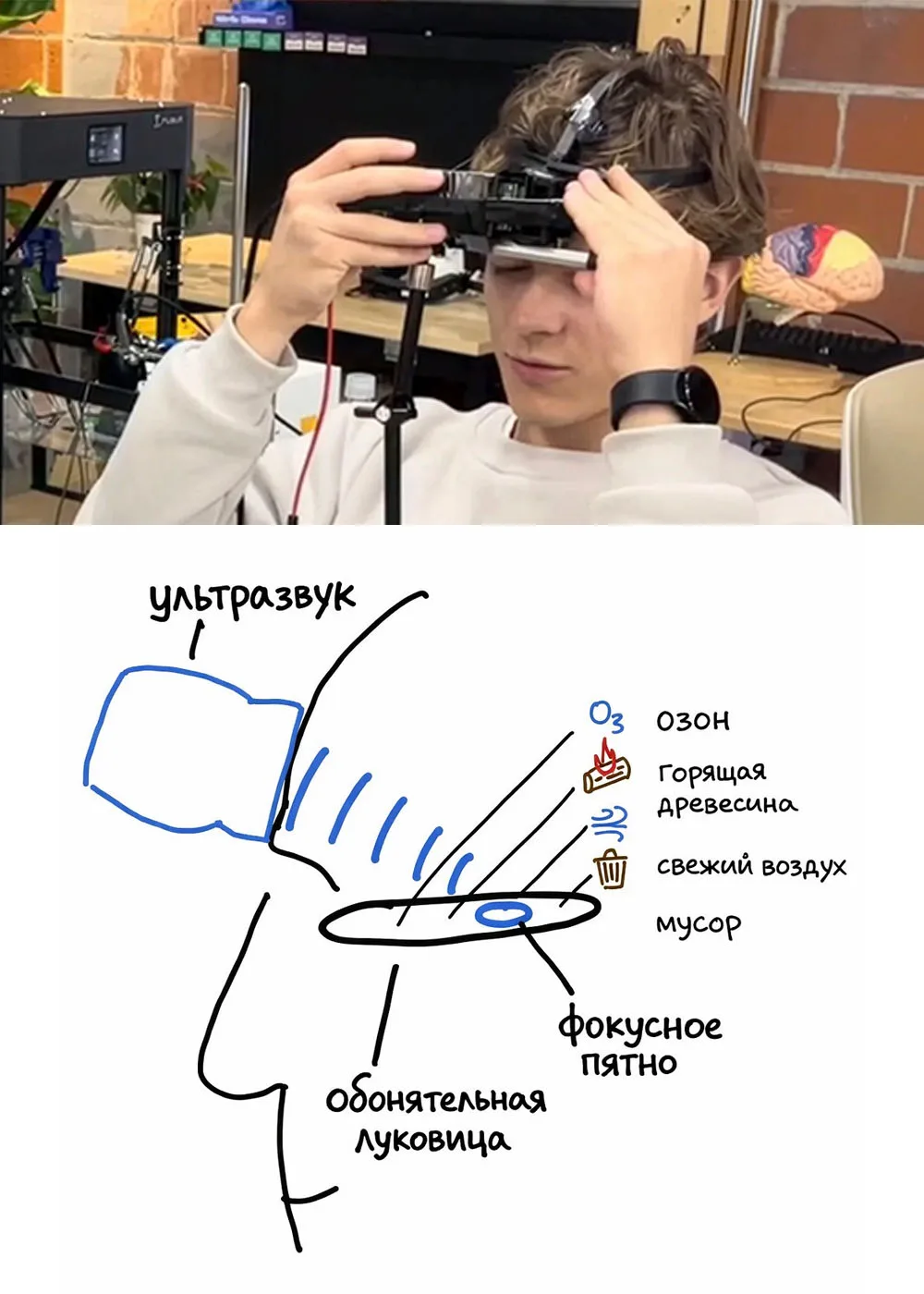 Запахи в VR без всякой химии!