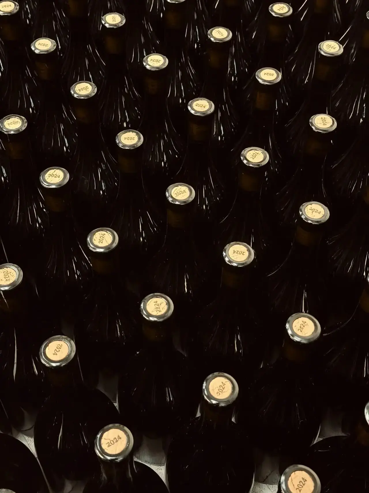 Оформление линейки RENAISSANCE CARMENERE 2024 🍷