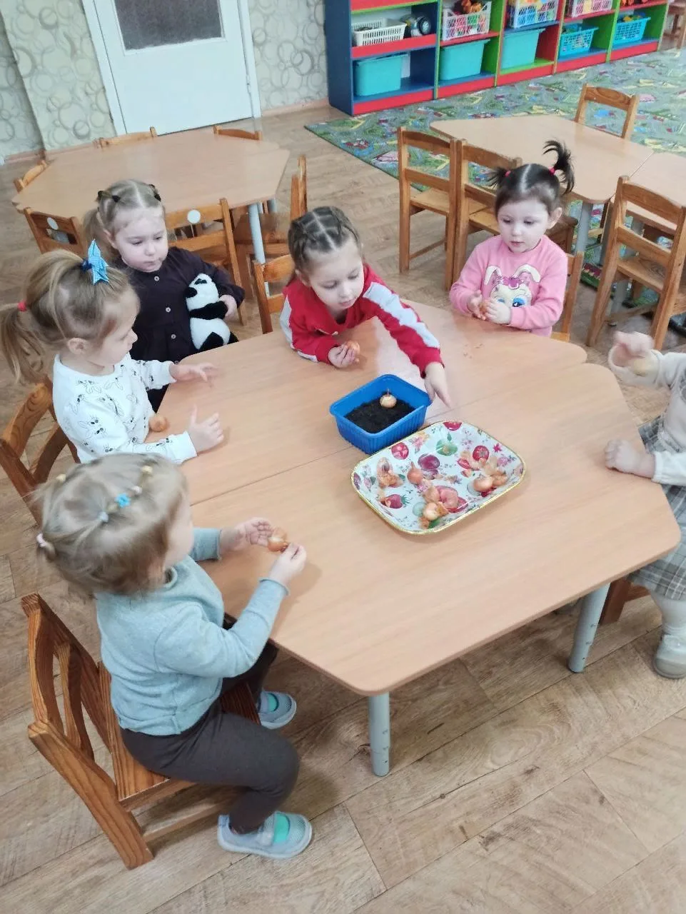 Посадили огород,