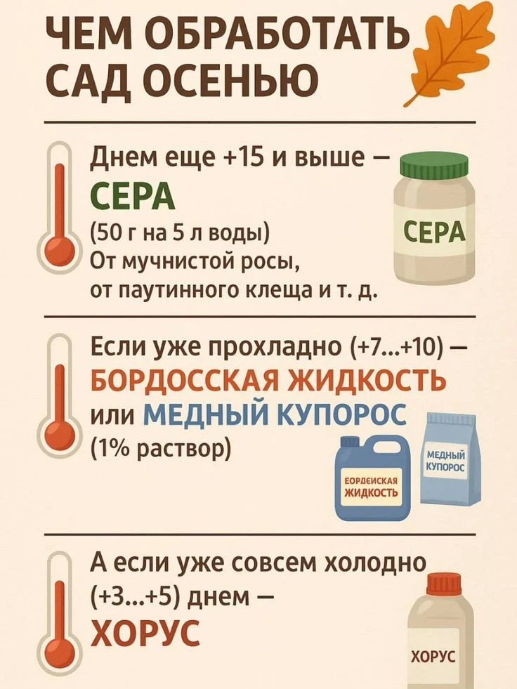 Скоро пора подготовки к зиме