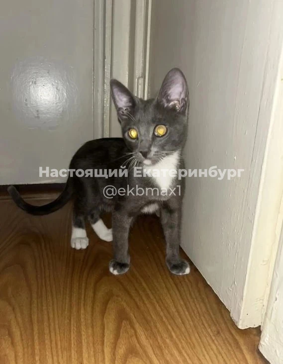 Потерял ключи от машины ford. На Уралмаше, ключи были в белом чехле. 89920943475.

Найдены медицинск