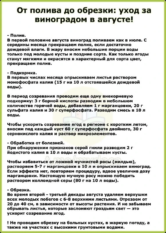Изображение 2 к публикации «Дачники»