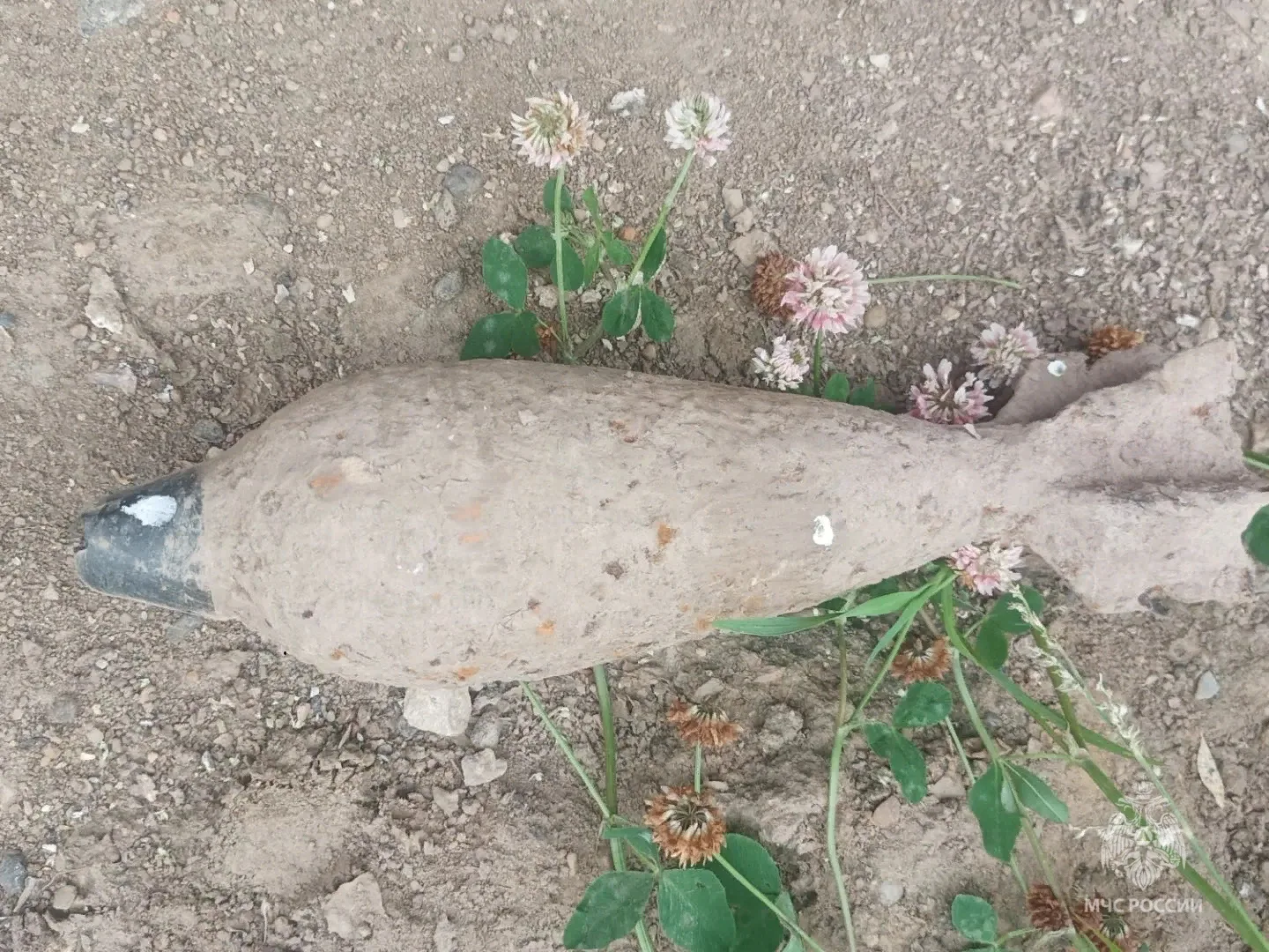🚨 В Рогнединском и Навлинском районах обезврежены взрывоопасные предметы времен Великой Отечественн