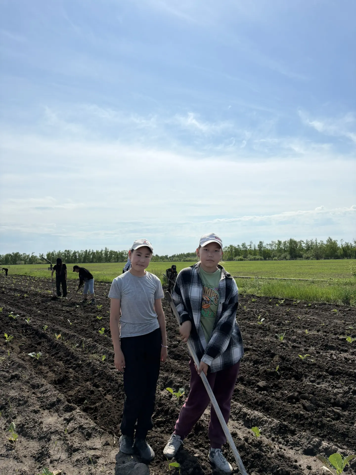 🌱 Сегодня 19.06.26г. в лагере «Аргыс» прошел удивительный день! Дети пропололи капусту тяпкой на жи