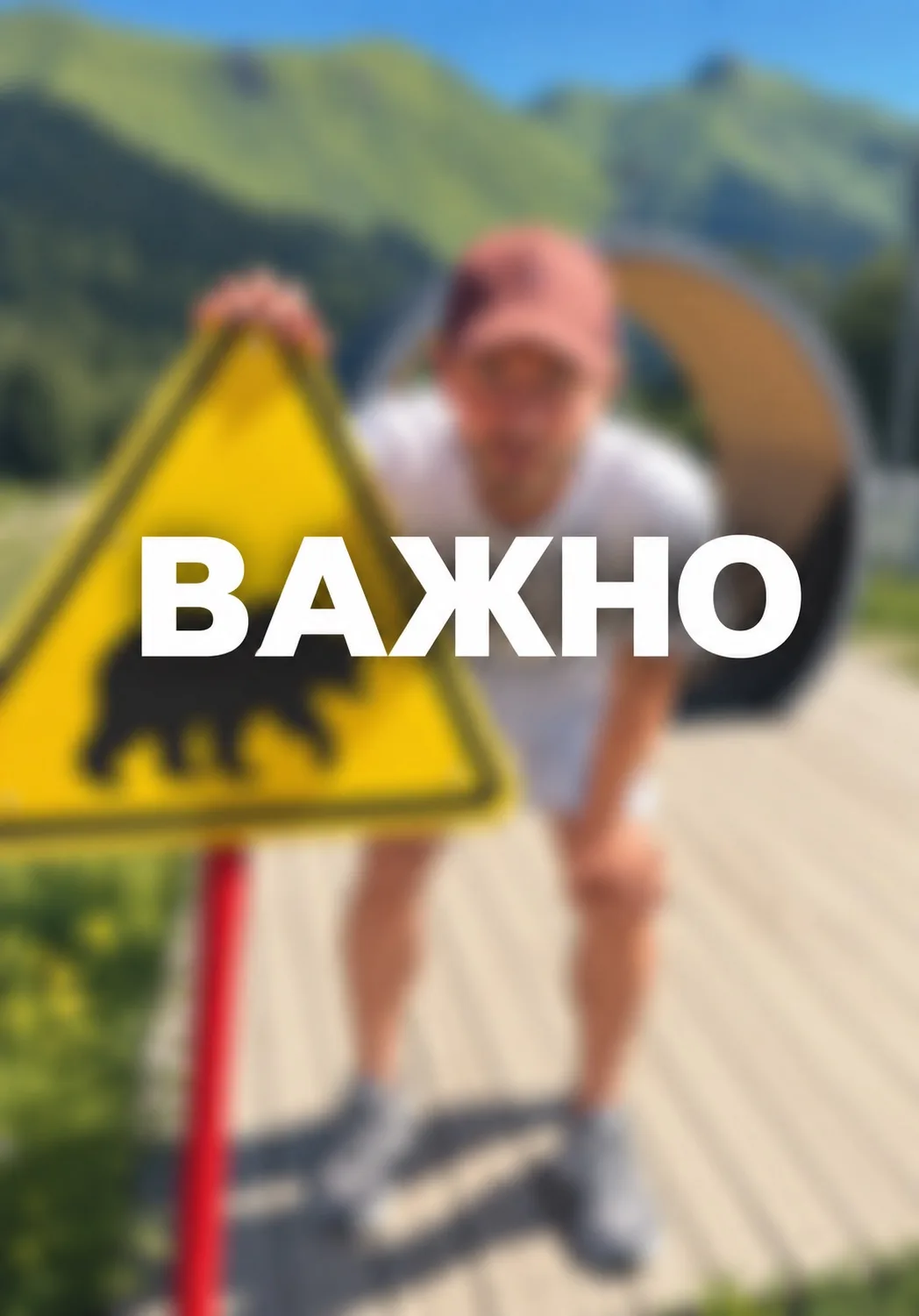 Через несколько часов начинаем разбор портфеля.