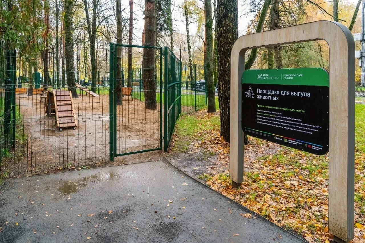 🦮 Гуляем с питомцем: напоминаем о правилах выгула в Подмосковье   🐾 Чтобы прогулки были комфортными 