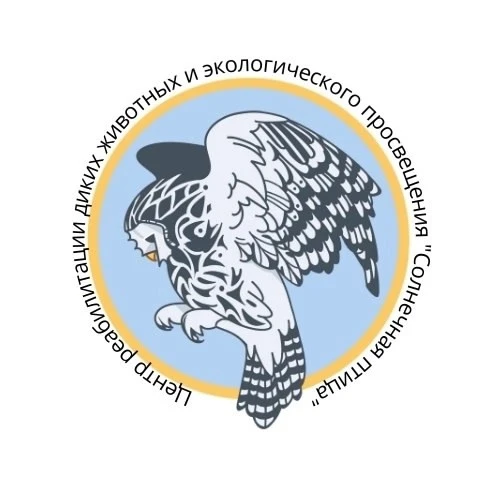 📣Внимание всем!
