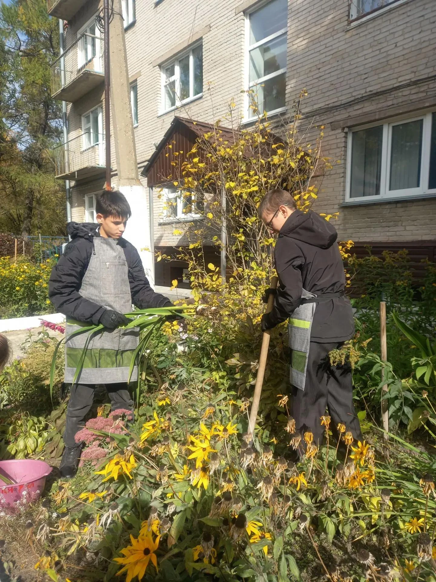 Подошла пора выкапывать и убирать на хранение корнеклубни незимующих цветовых растений....