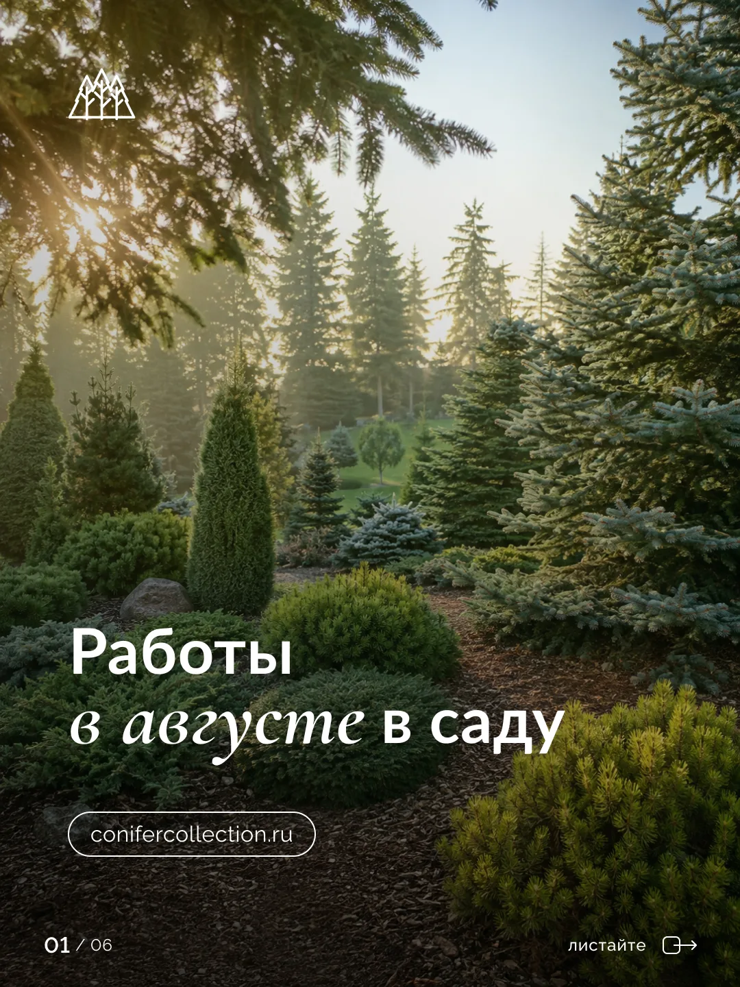 Как подготовить сад к осени?