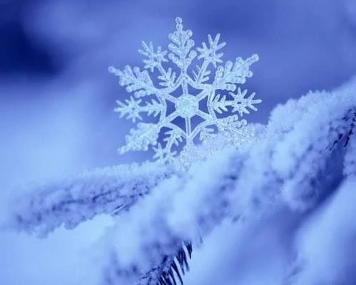 ❄️ Тишина в научной среде  Вы когда-нибудь замечали, как преображается мир, когда выпадает снег? Ста