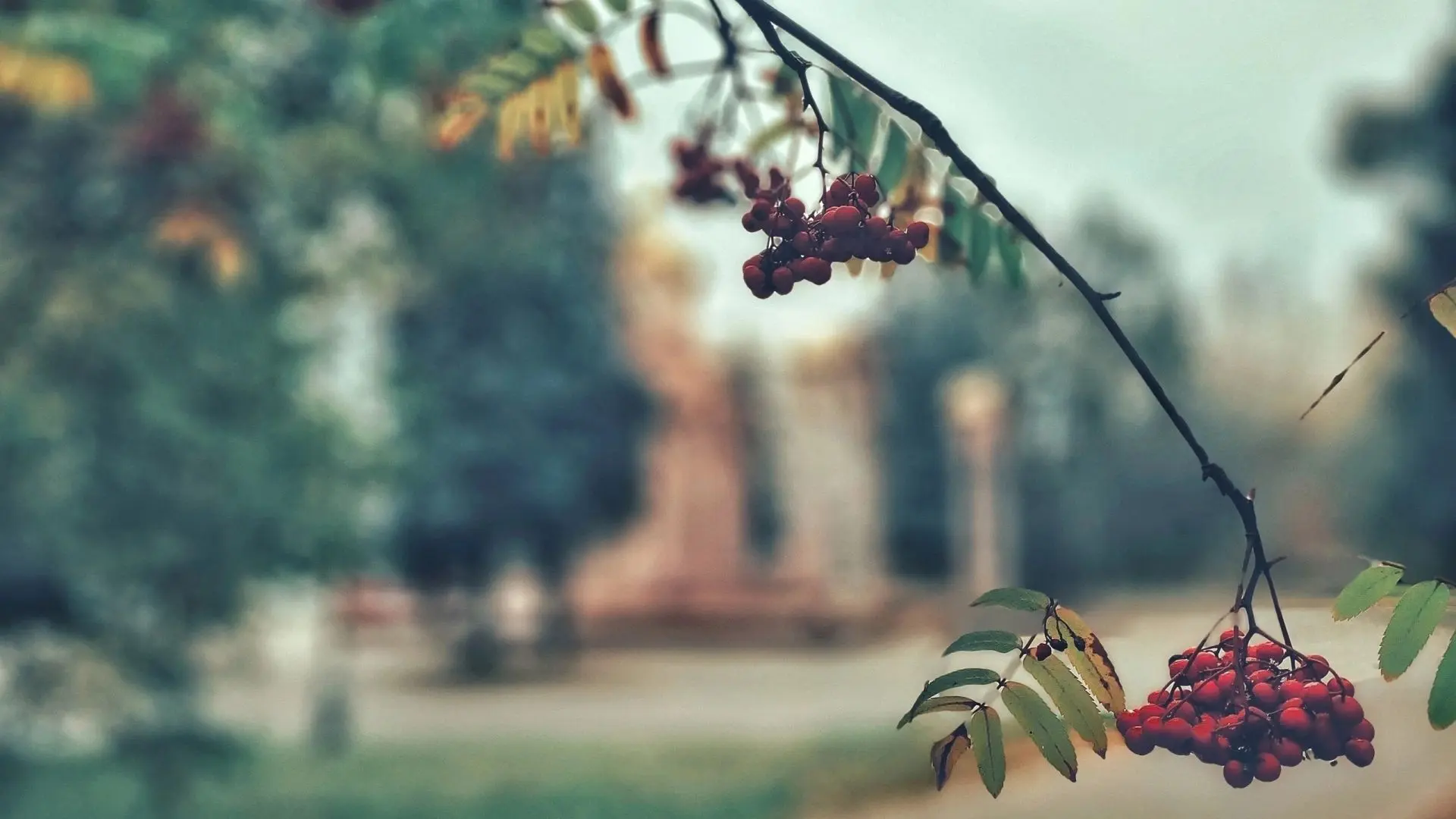 Осенний Кемерово