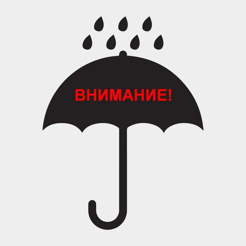 ‼ Внимание, изменения в праздновании Дня города!