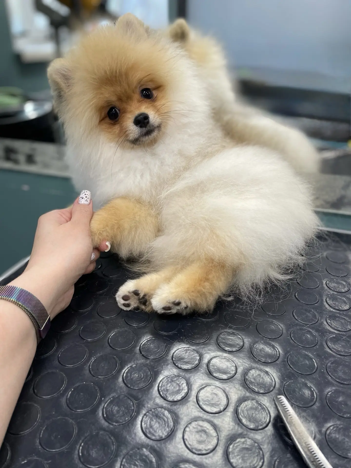 ✨Милашка Раф🍪