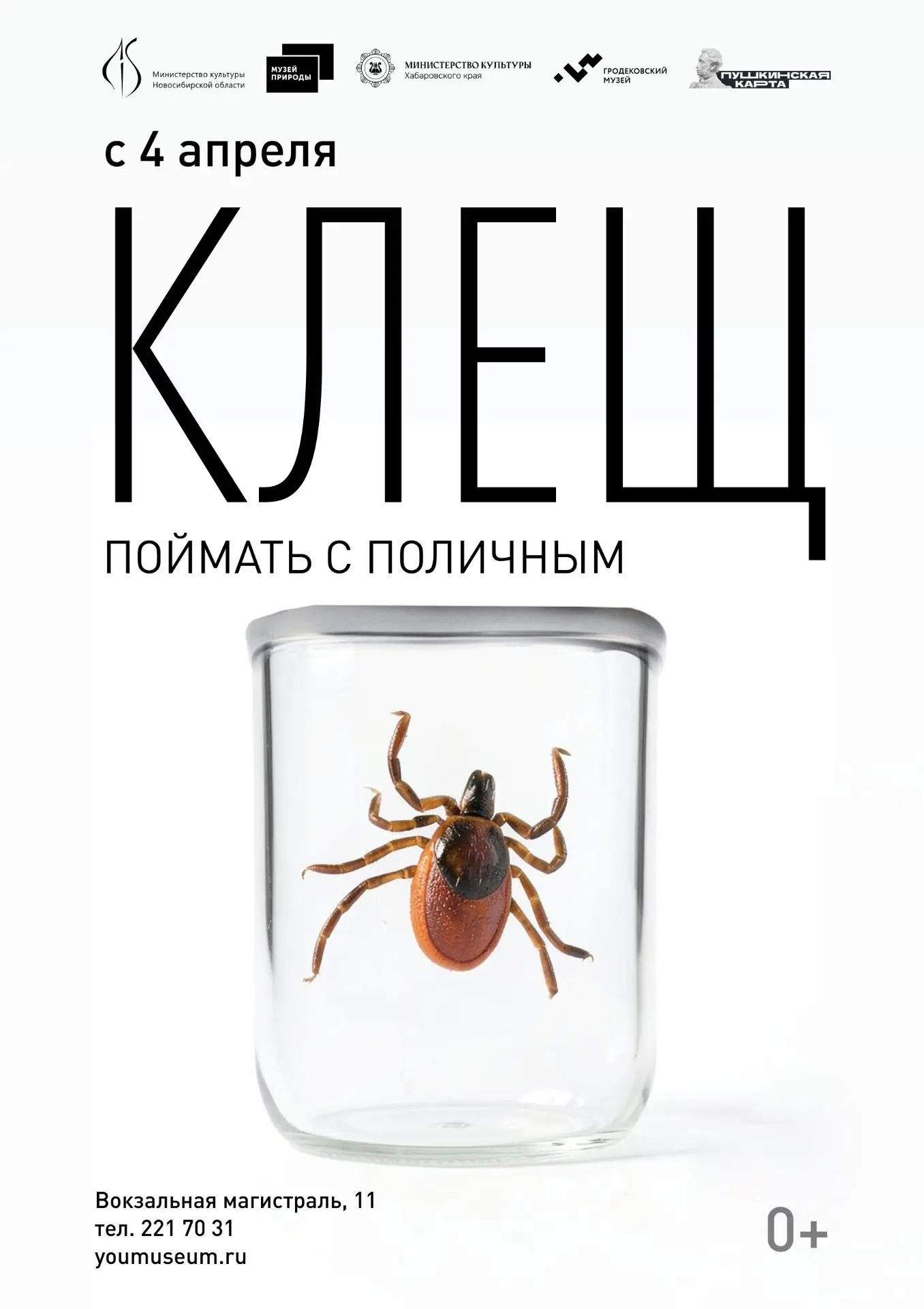 Материалы Хабаровского краевого музея имени Н. И. Гродекова легли в основу новой научно‑просветитель
