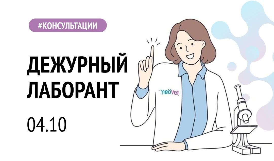 ДЕЖУРНЫЙ ЛАБОРАНТ💡