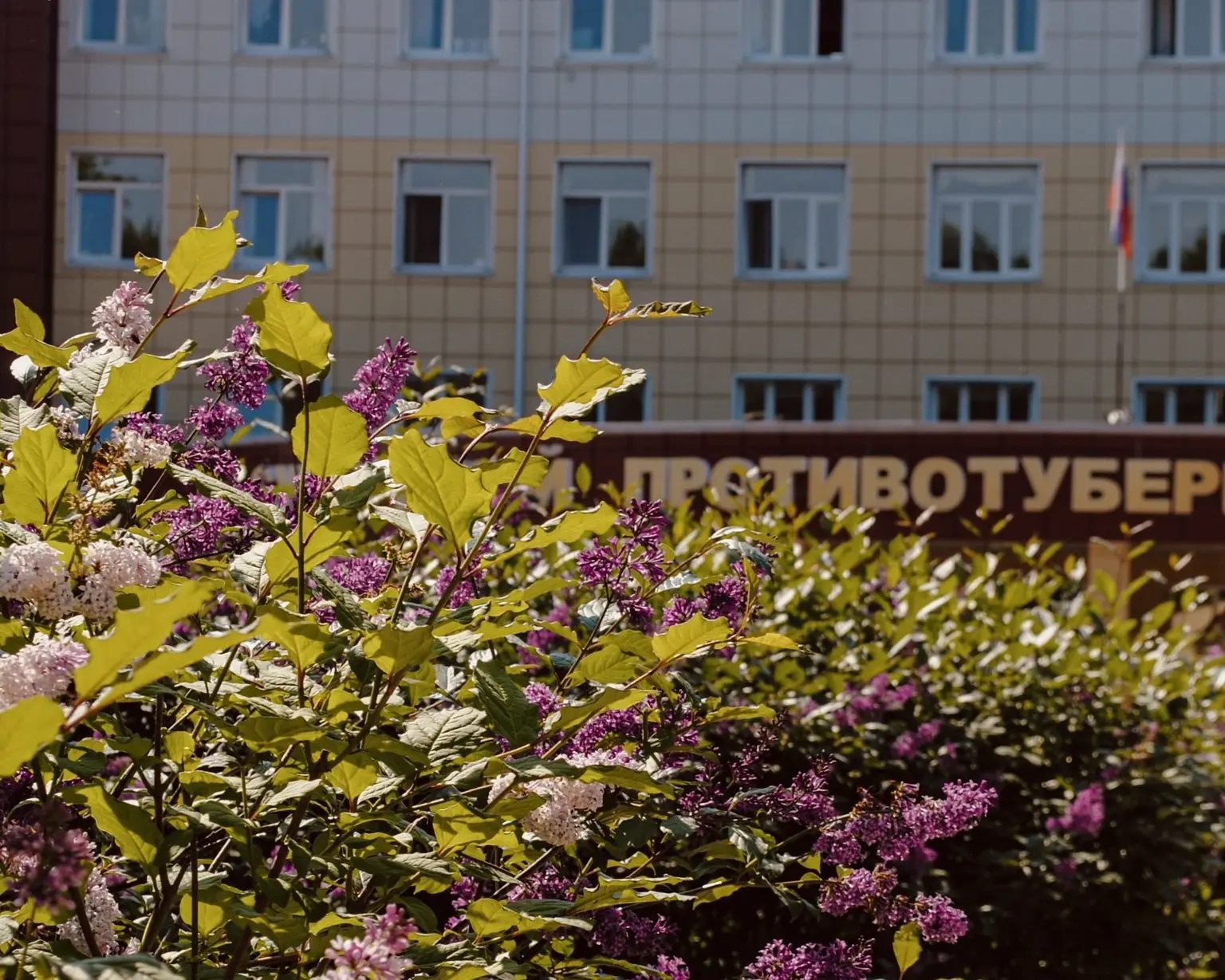 ☀️Август на территории Сургутского противотуберкулёзного диспансера: как каждый тёплый ...