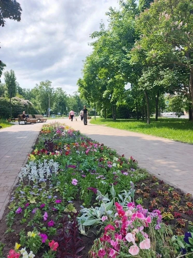 🌺 На бульваре Новаторов высаживают новый красочный цветник

Сотрудники «Нарвского» используют 18 ви