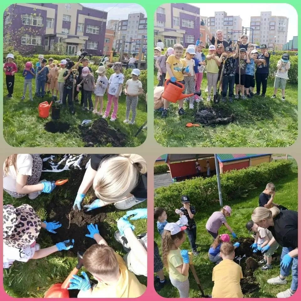 🌍Юные экологи!
🌳На экологической тропе нашего детского сада появился новый житель —  молодой сажен