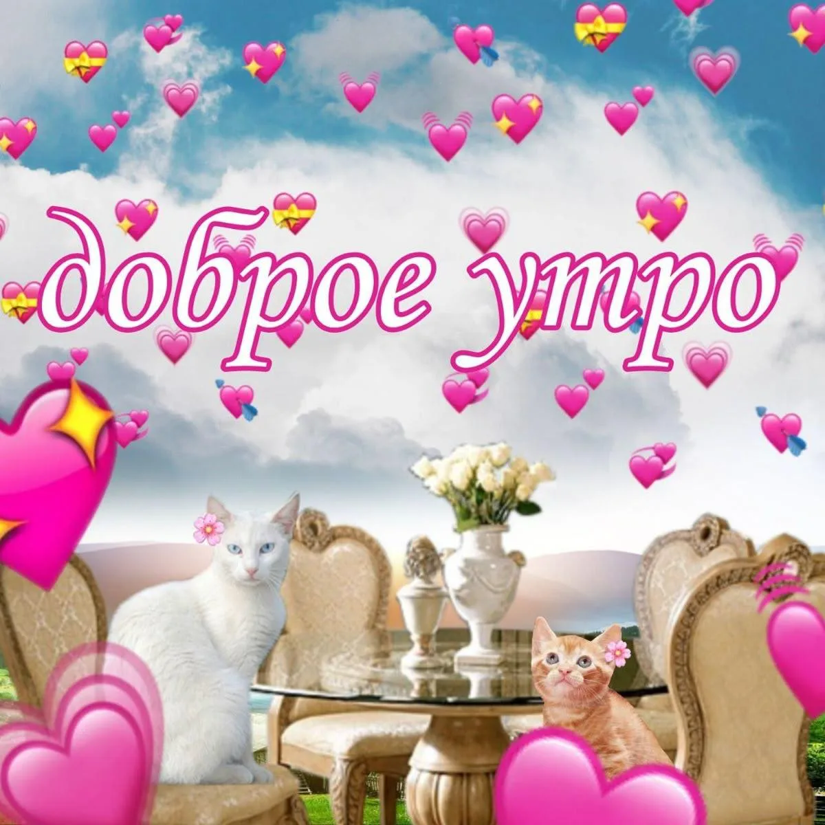 😍 Доброе утро, Подмосковье!

Новая неделя начнется с дождя — весь день будет пасмурно, до +22°С.

П
