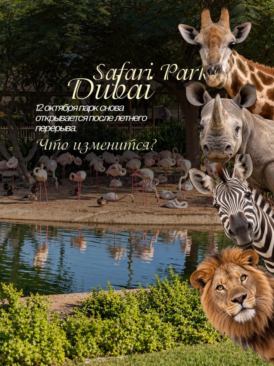 Dubai Safari Park возвращается! 🔥
