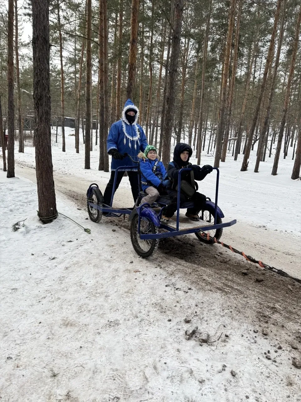 Новогодний привет от 4а класса!🎄 Ребята посетили "Маламут центр". Покатались на собачьих упряжках, п
