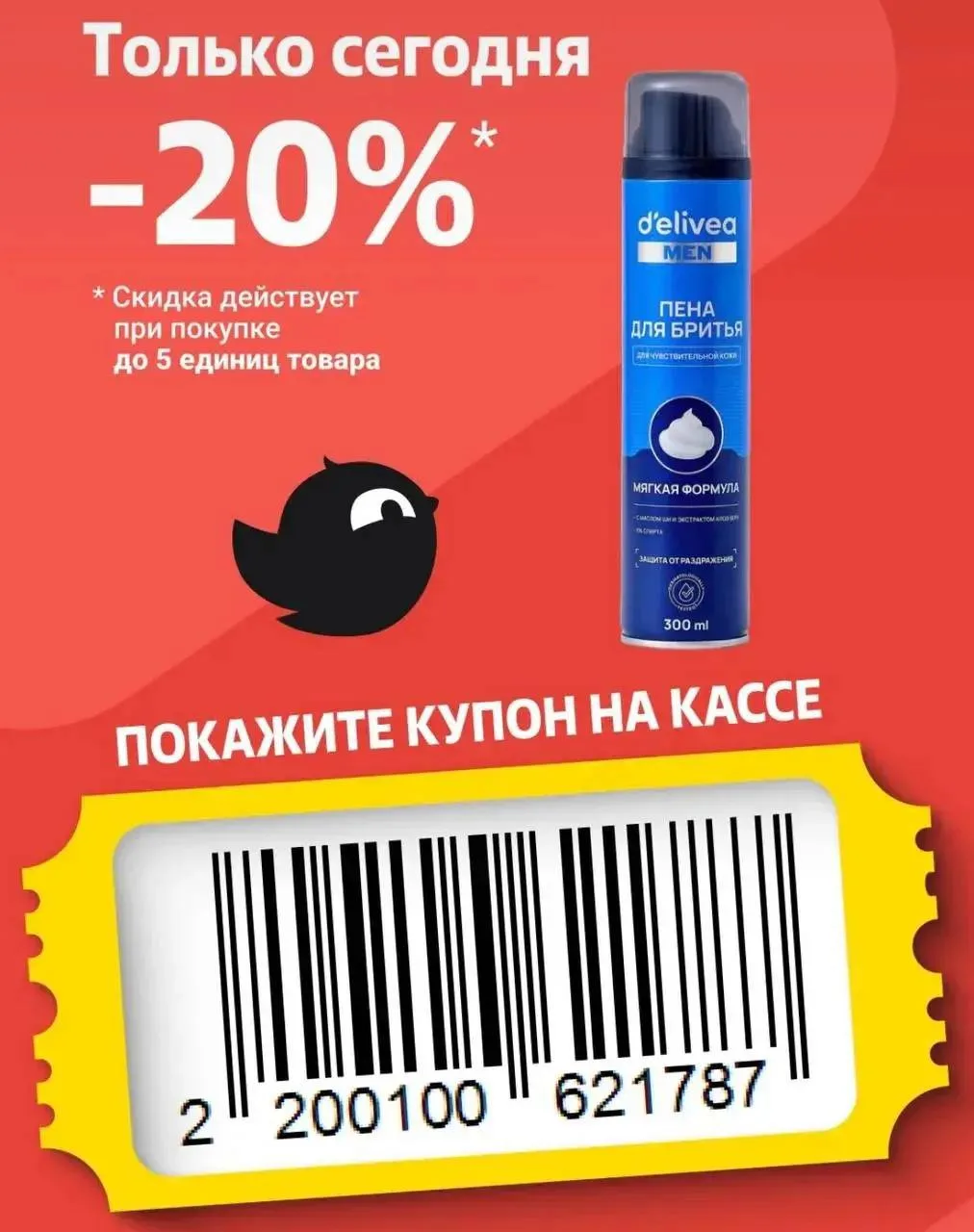 Купон в Чижик