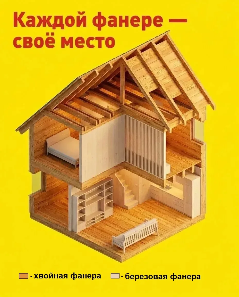 Фанера из хвои или березы? Какую выбрать, чтобы не пожалеть