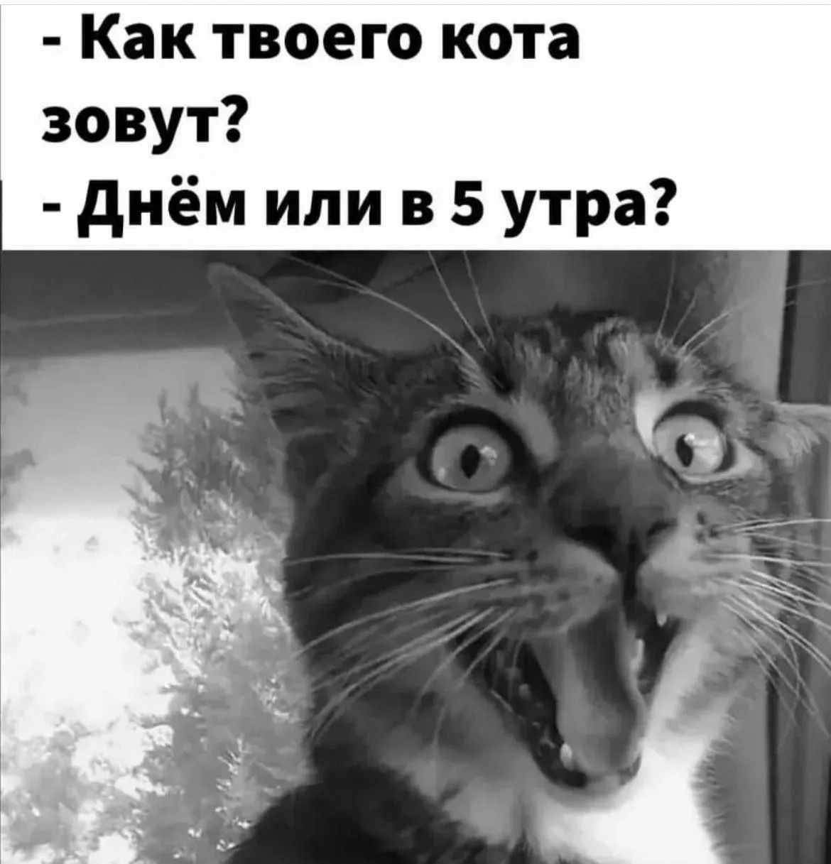 #доброеутро