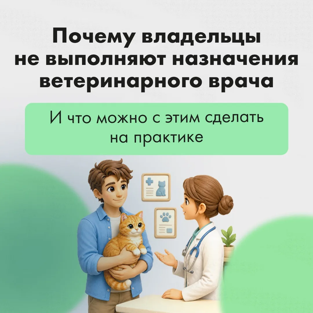 Даже при наличии чётких и подробных рекомендаций владельцы часто не следуют плану лечения.