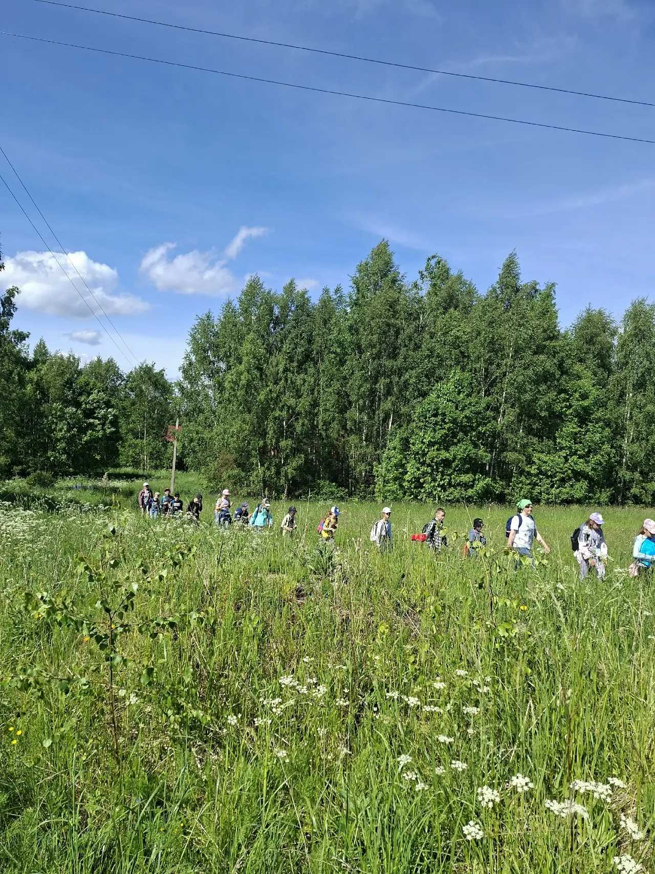 🍀 В День эколога наши юннаты прошли заповедными тропами по Изборско-Мальской долине. С...