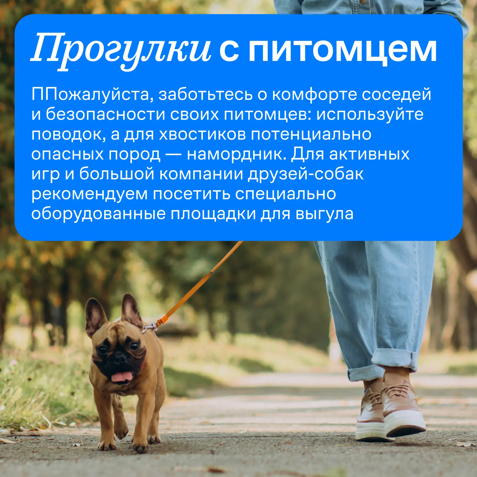 Дорогие владельцы питомцев 🐾

Сегодня отмечается Международный день собак. У праздника нет официаль