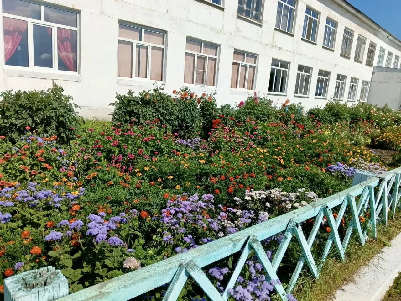 🍁На календаре уже  осень, деревья сбрасывают золотую листву, а у нас в школьном дворе ...