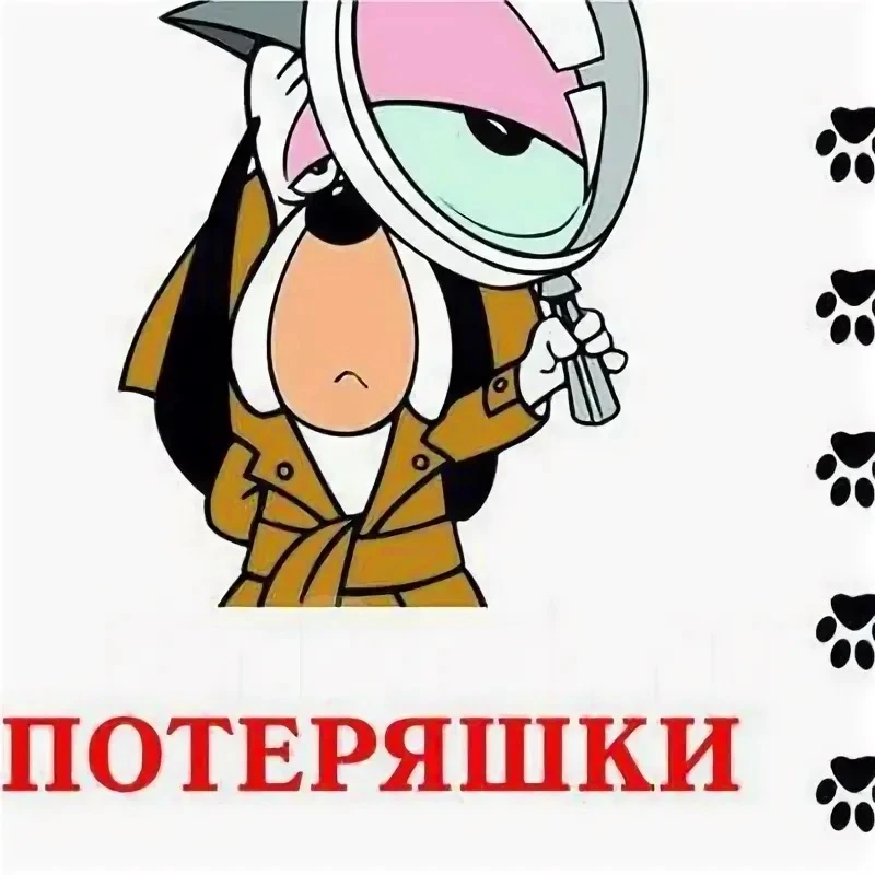 Уважаемые родители и ученики 5-11 классов ! 

Все забытые в гардеробах  вещи можно забрать в гардеро
