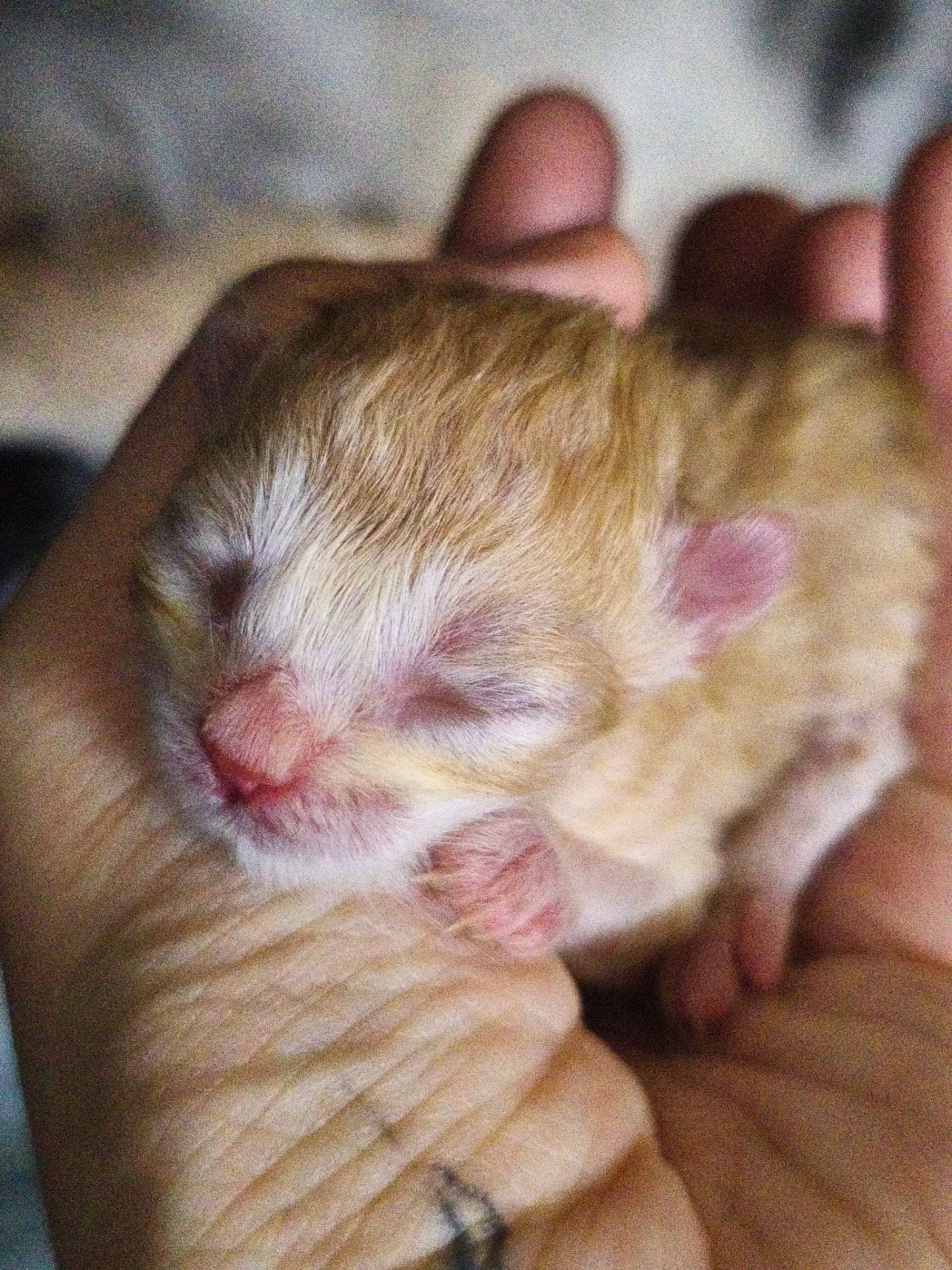 Всем доброе утро♥️