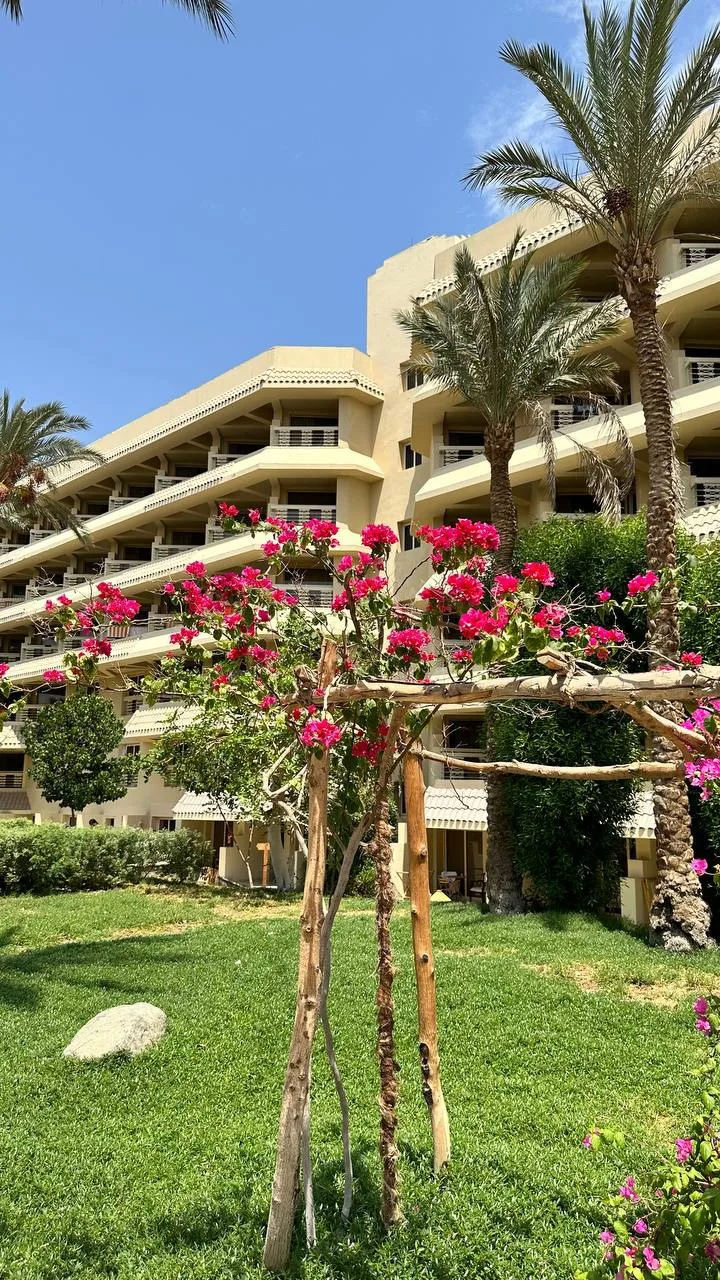 📍Египет, Шарм-эль-Шейх 🇪🇬