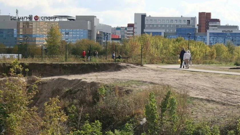 В Барнауле ответили на жалобы о посадке сухих деревьев за ТРЦ «Европа»