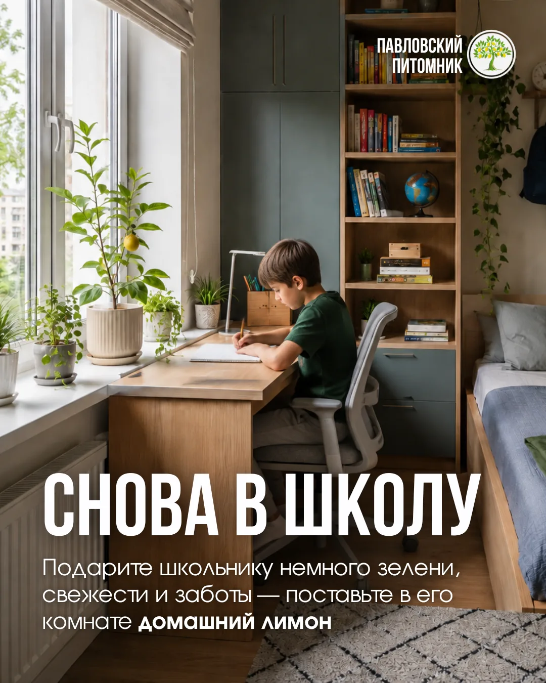 Наступил сентябрь — дети снова вернулись за парты, в классы и большие коллективы. А вме...